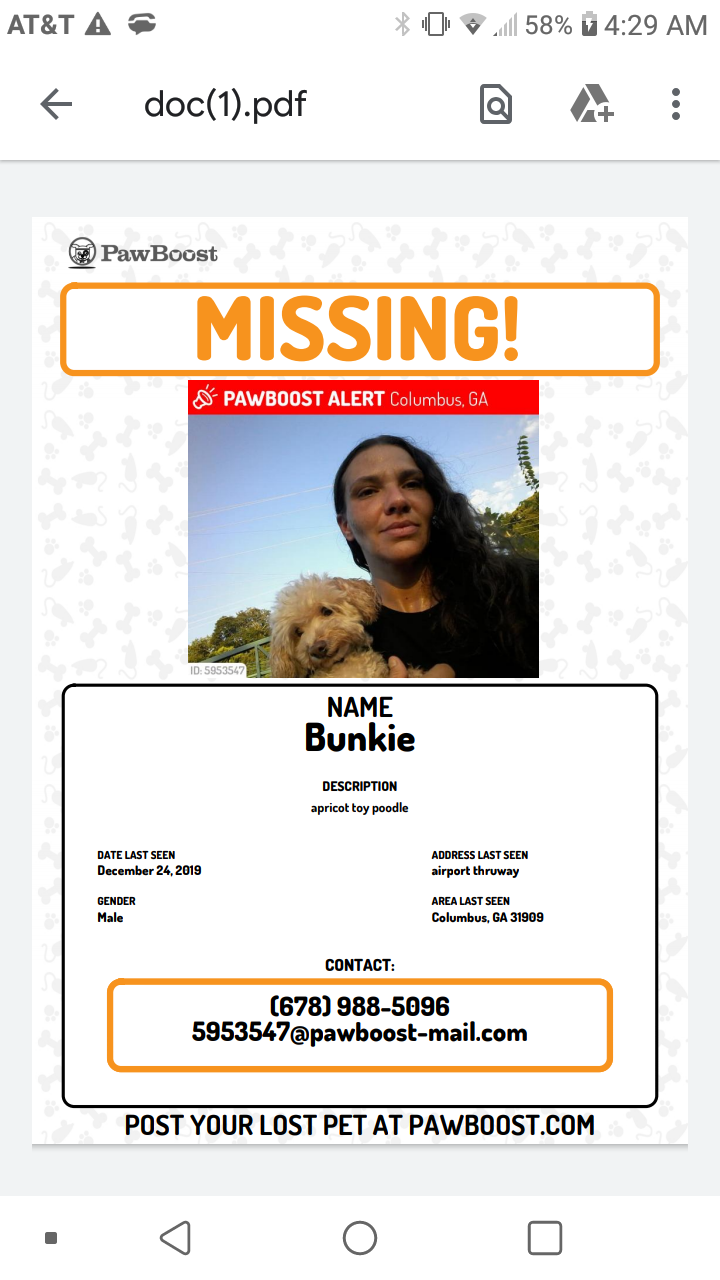 Image of Bunkie, Lost Dog