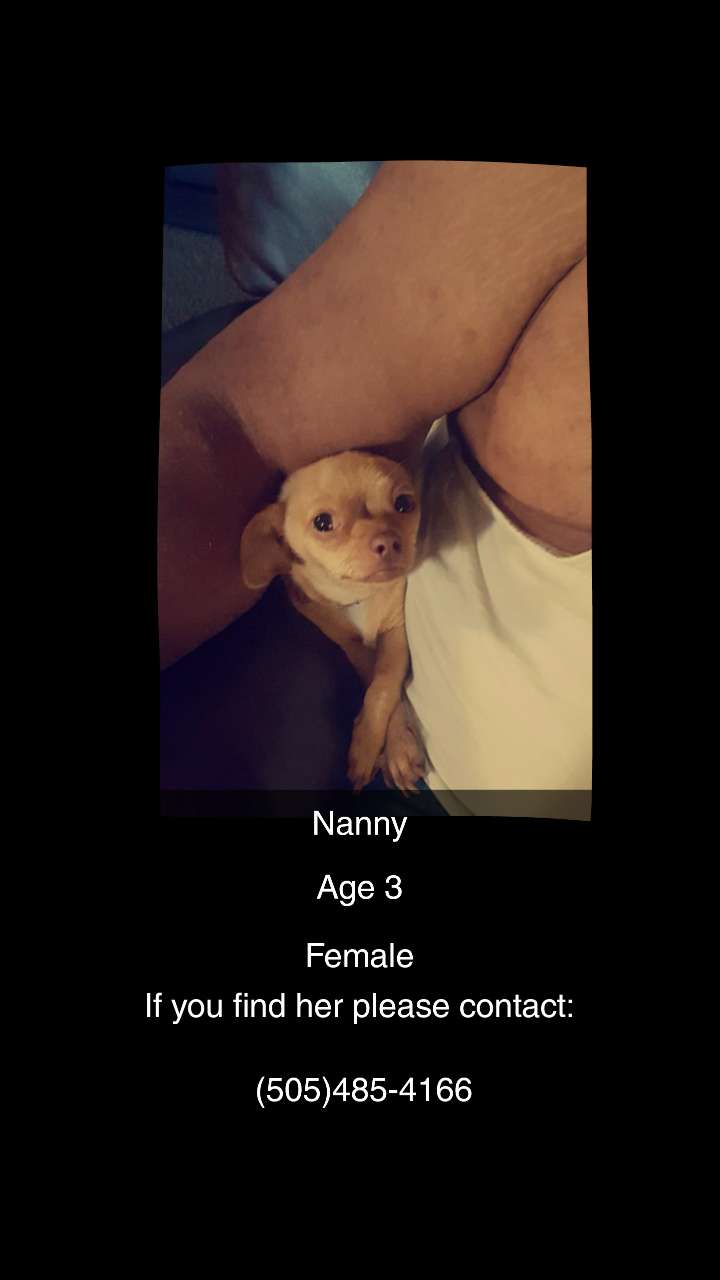 Image of Nanny, Lost Dog
