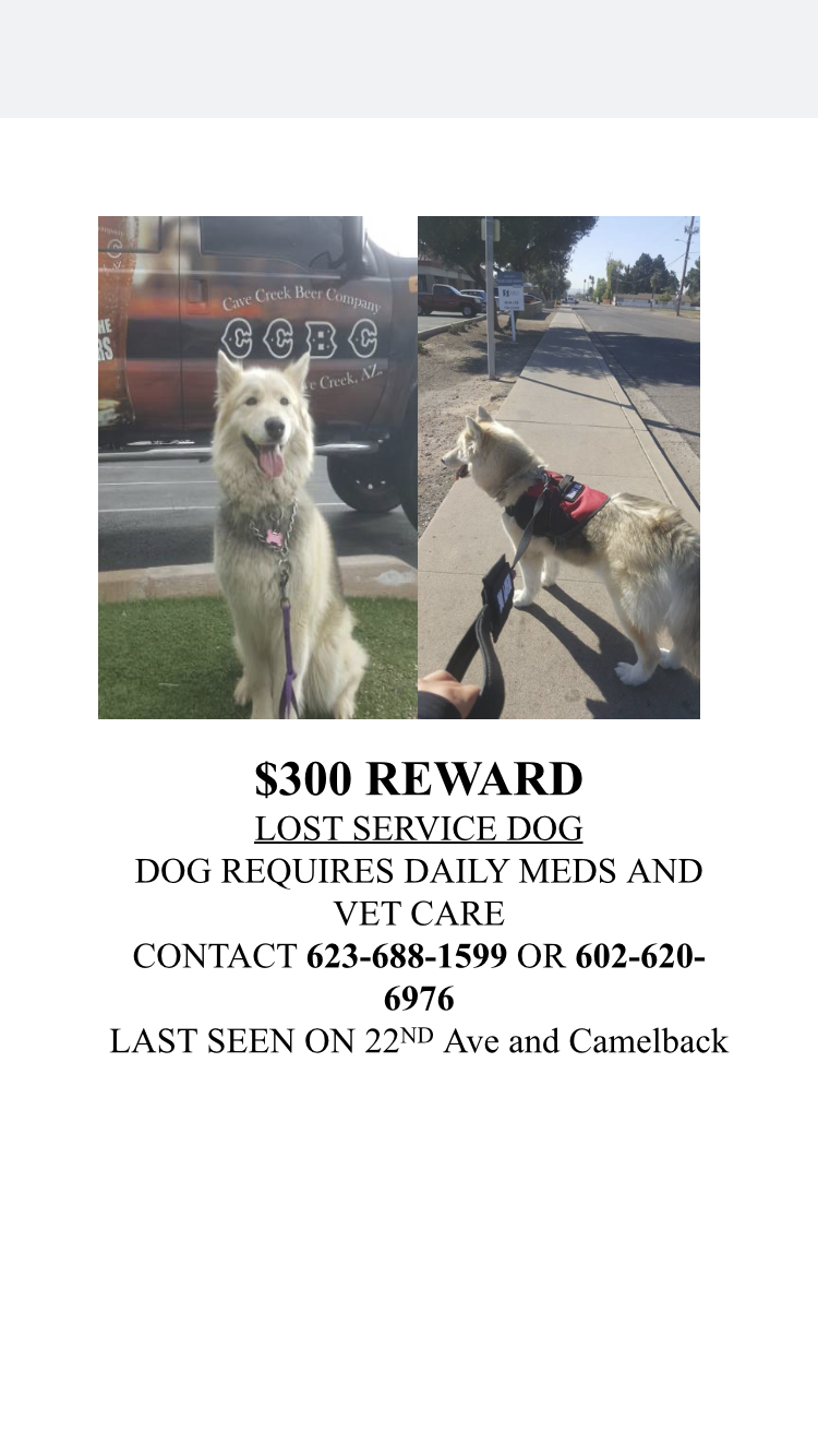 Image of Kyoto, Lost Dog