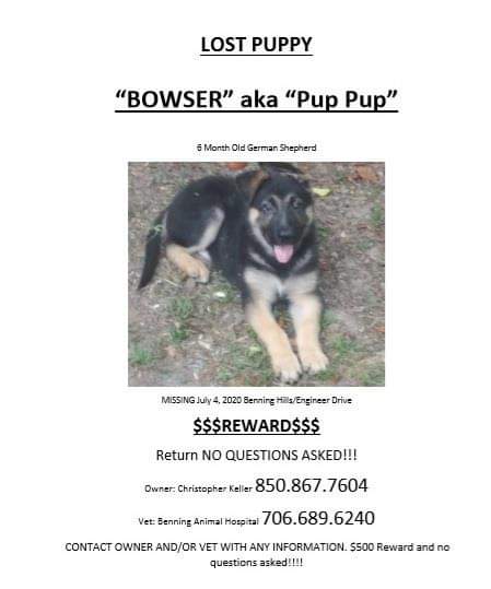 Image of Bowser, Lost Dog