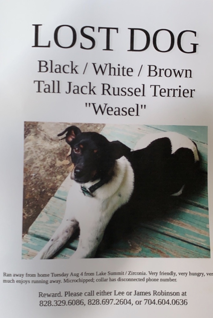Image of Weasel, Lost Dog