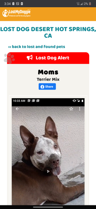 Image of Moms, Lost Dog