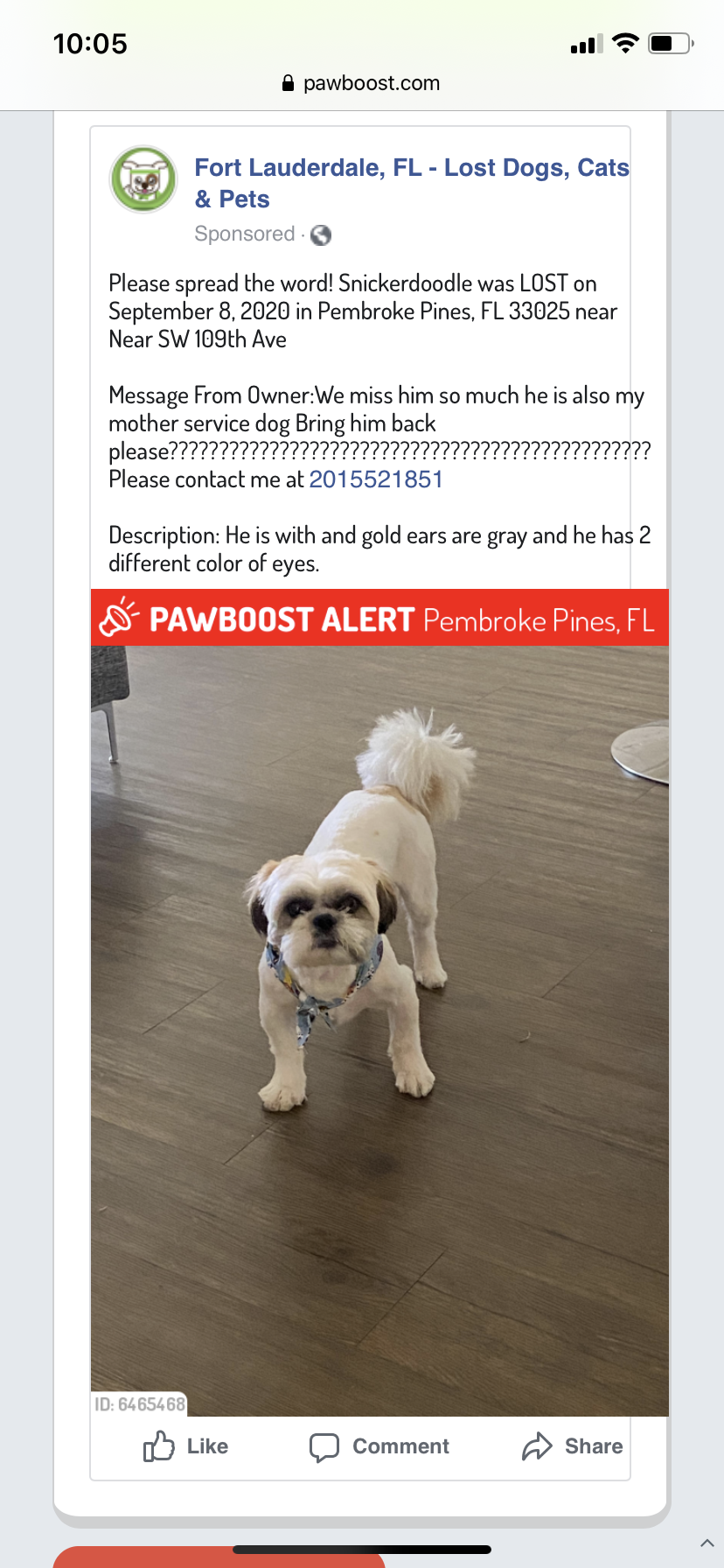Image of Snickerdoodle, Lost Dog