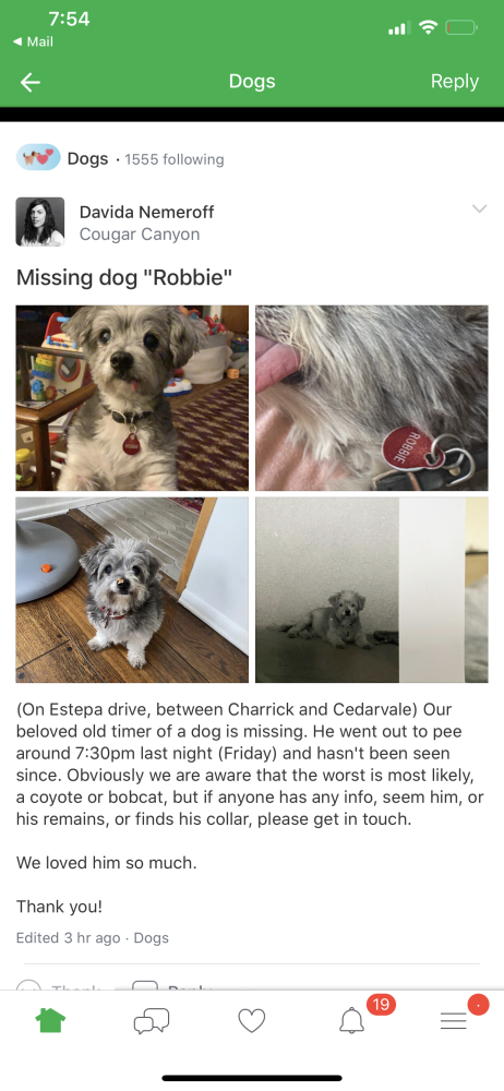 Image of Robbie, Lost Dog