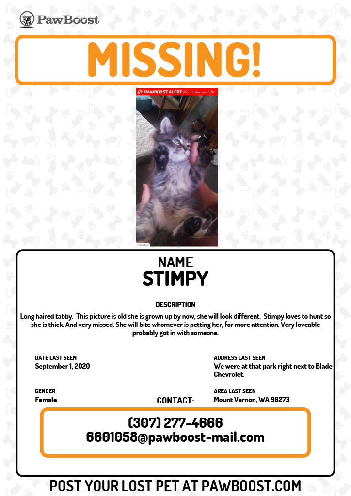 Image of STIMPY, Lost Cat