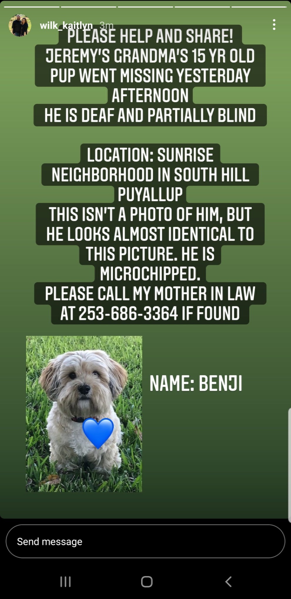Image of Benji, Lost Dog