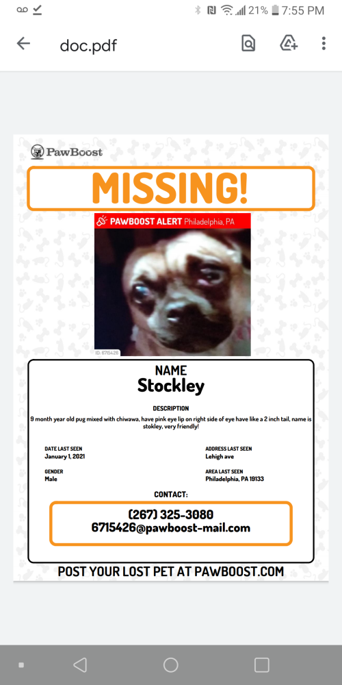 Image of Stockley, Lost Dog