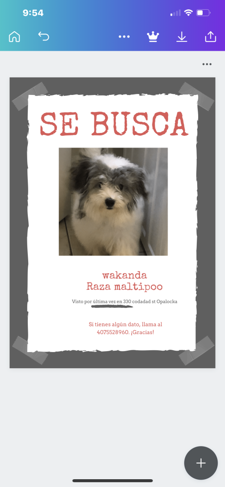 Image of Wakanda, Lost Dog