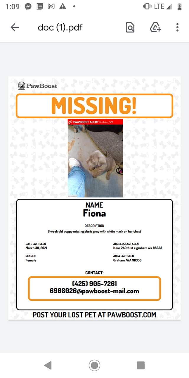 Image of FIONA, Lost Dog