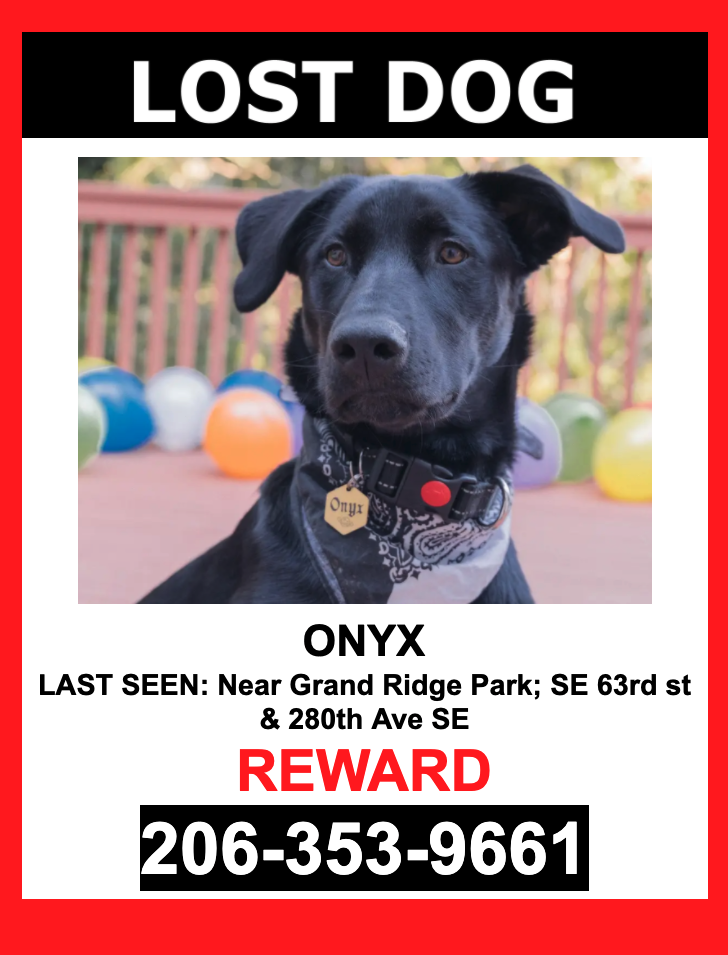 Image of ONYX, Lost Dog