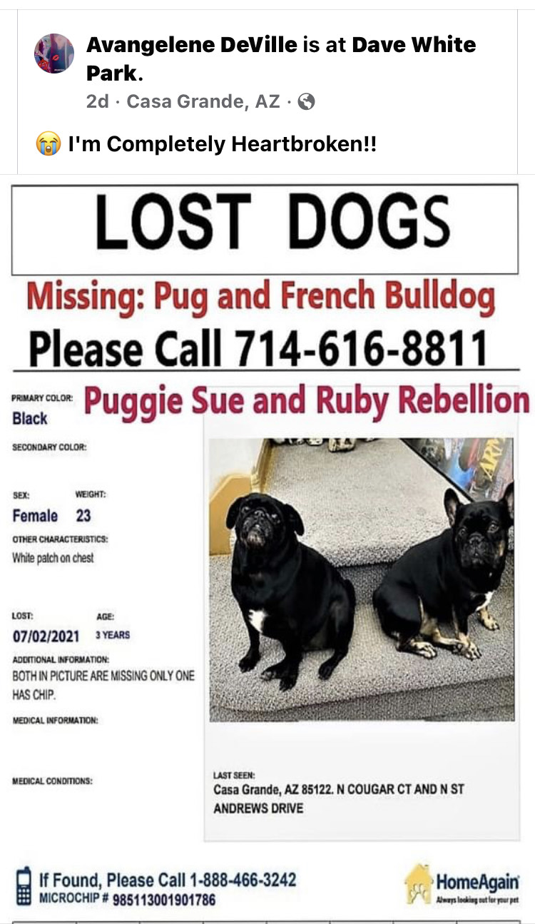 Image of puggie sue and Ruby, Lost Dog