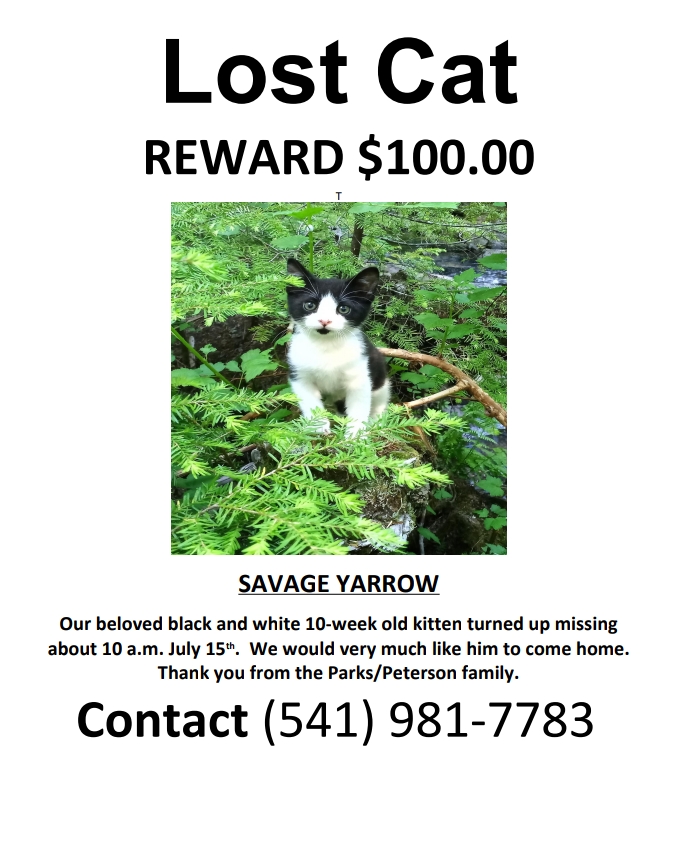 Image of Savage Yarrow, Lost Cat