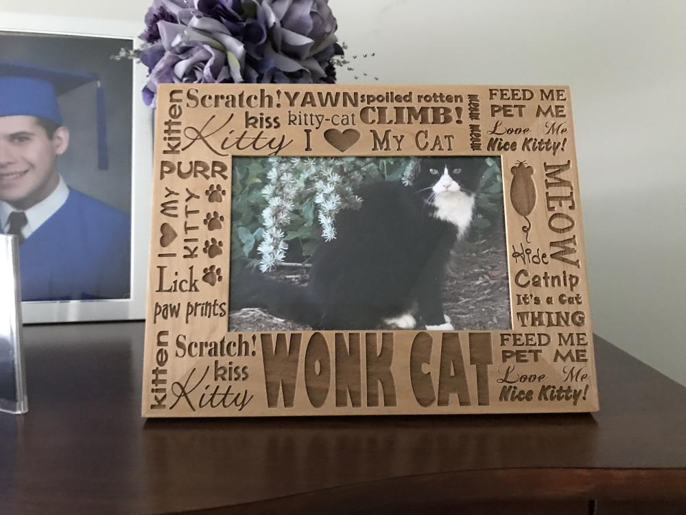 Image of Wonkcat, Lost Cat