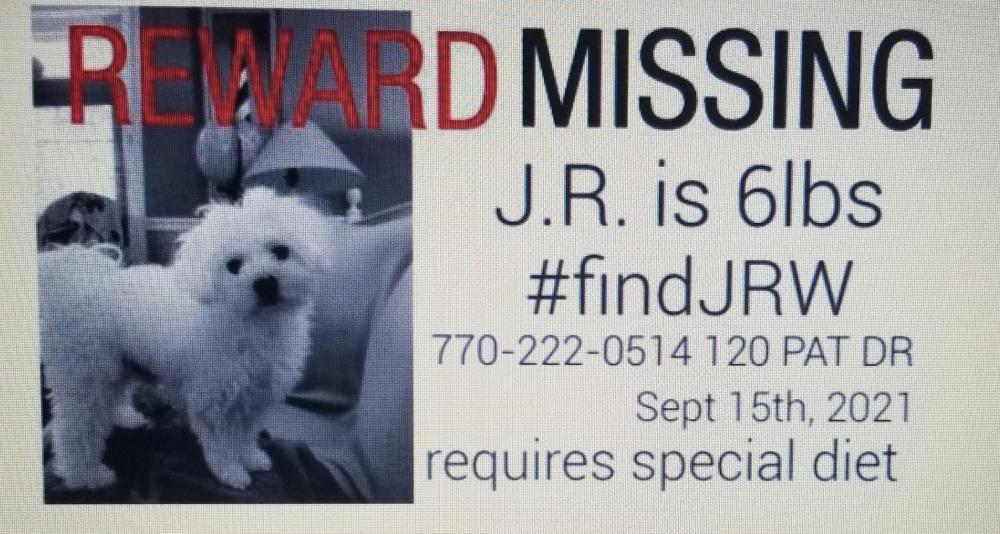 Image of J.R., Lost Dog