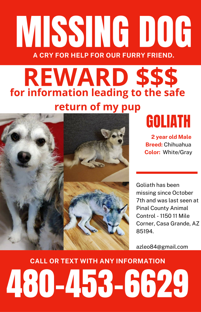 Image of Goliath, Lost Dog