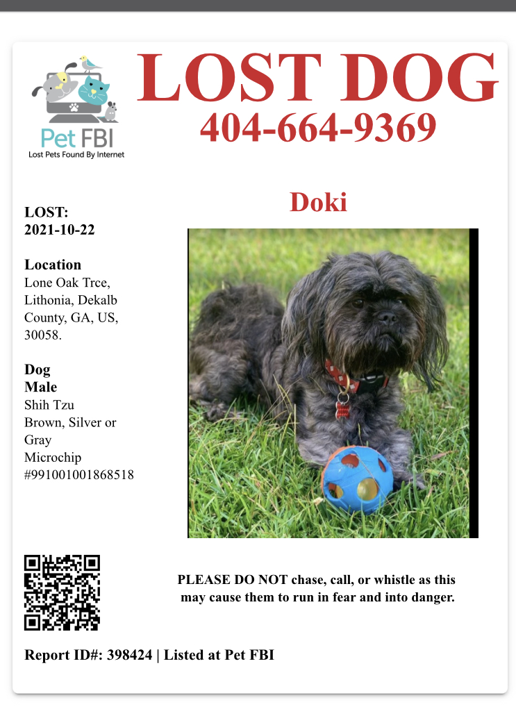 Image of Doki, Lost Dog
