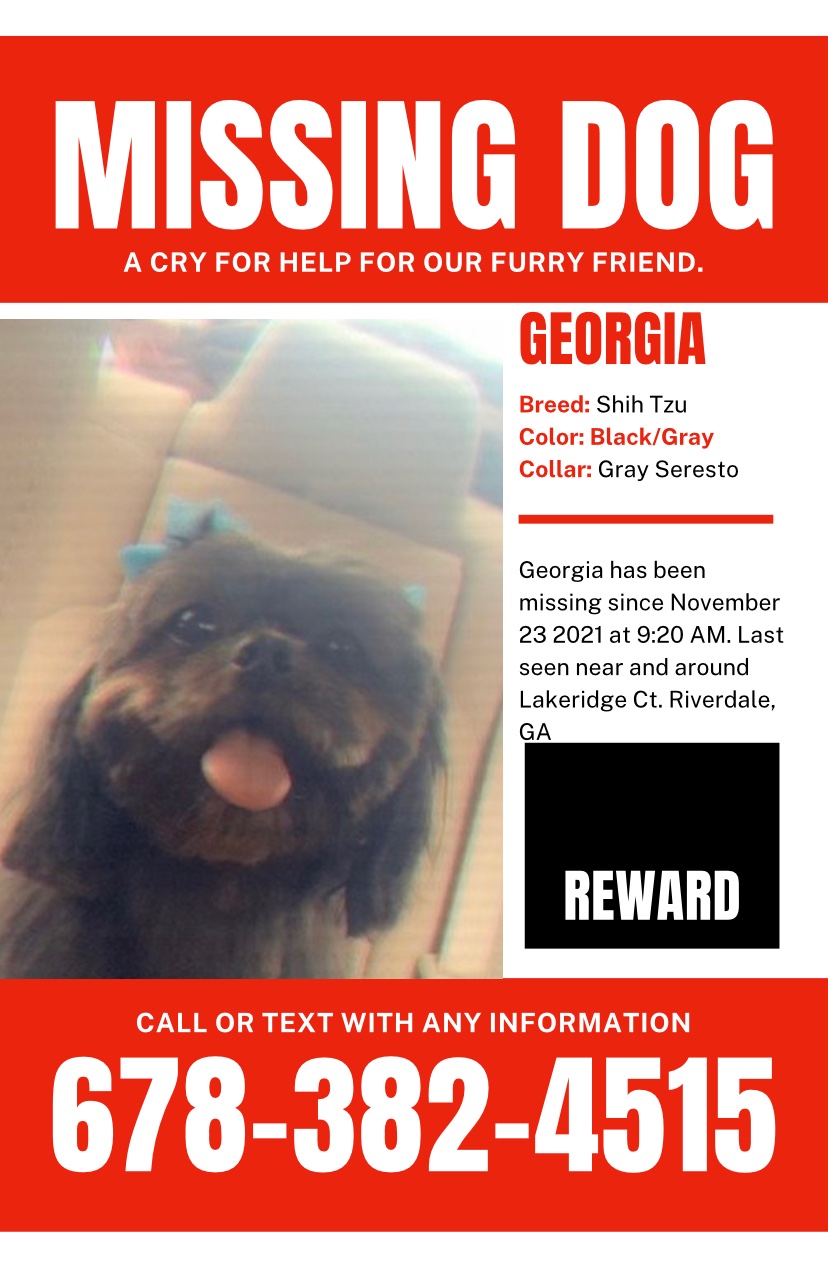 Image of Georgia, Lost Dog