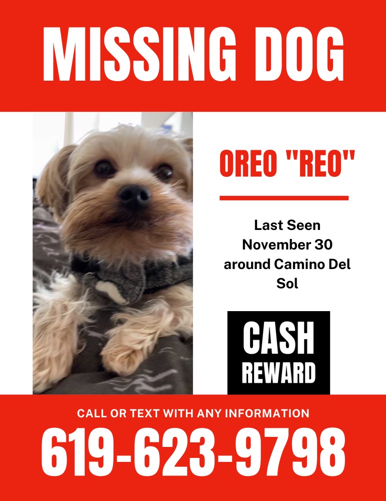 Image of Oreo, Lost Dog
