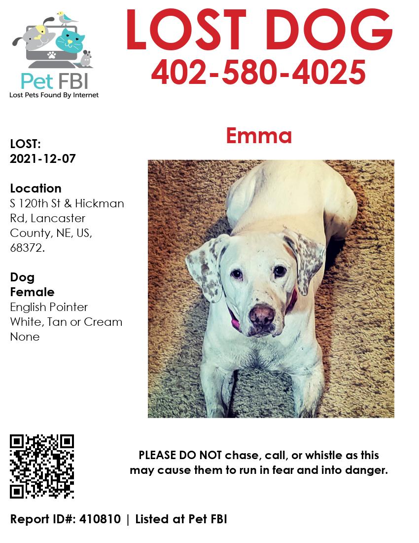 Image of Emma, Lost Dog