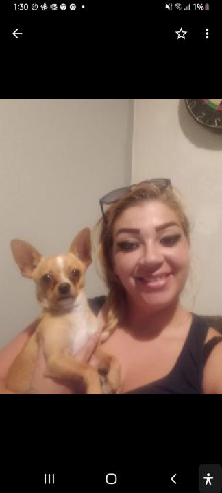 Image of Baby, Lost Dog