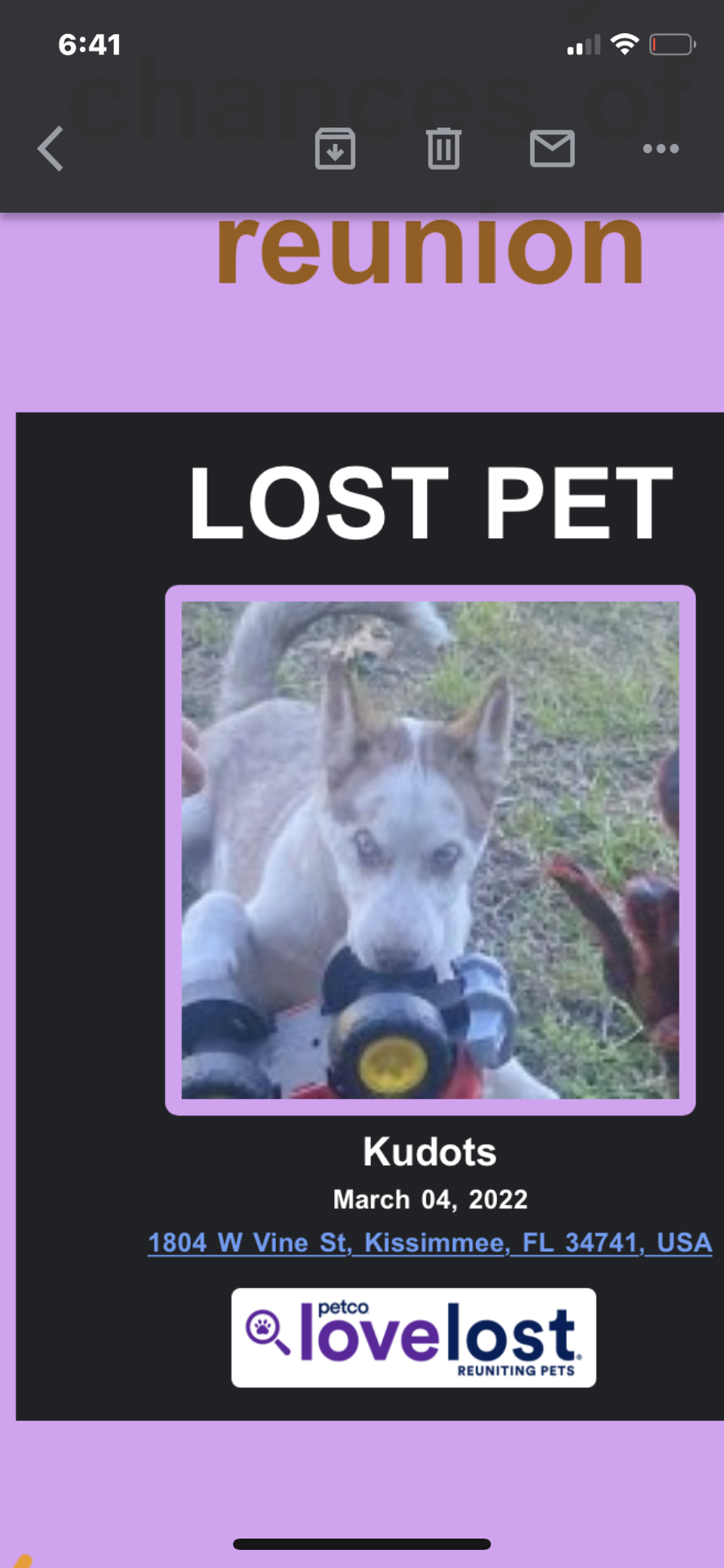 Image of Kudots, Lost Dog