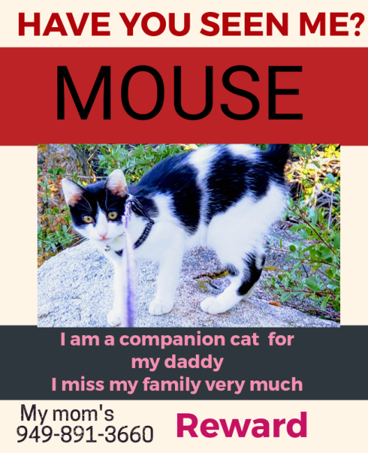 Image of Mouse, Lost Cat