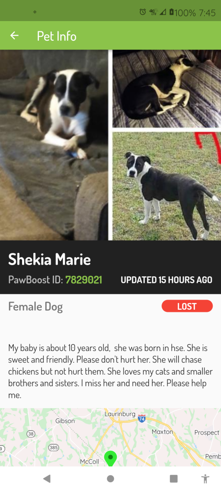 Image of Shekia marie, Lost Dog