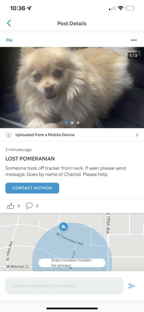 Image of Chantal, Lost Dog