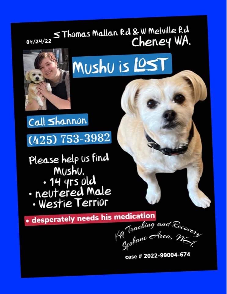 Image of Mushu, Lost Dog