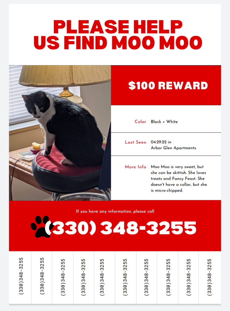 Image of MooMoo, Lost Cat