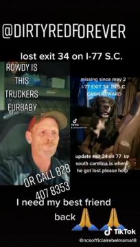 Image of rowdy, Lost Dog