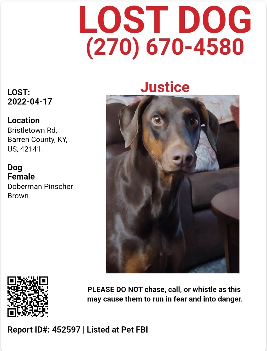 Image of Justice, Lost Dog