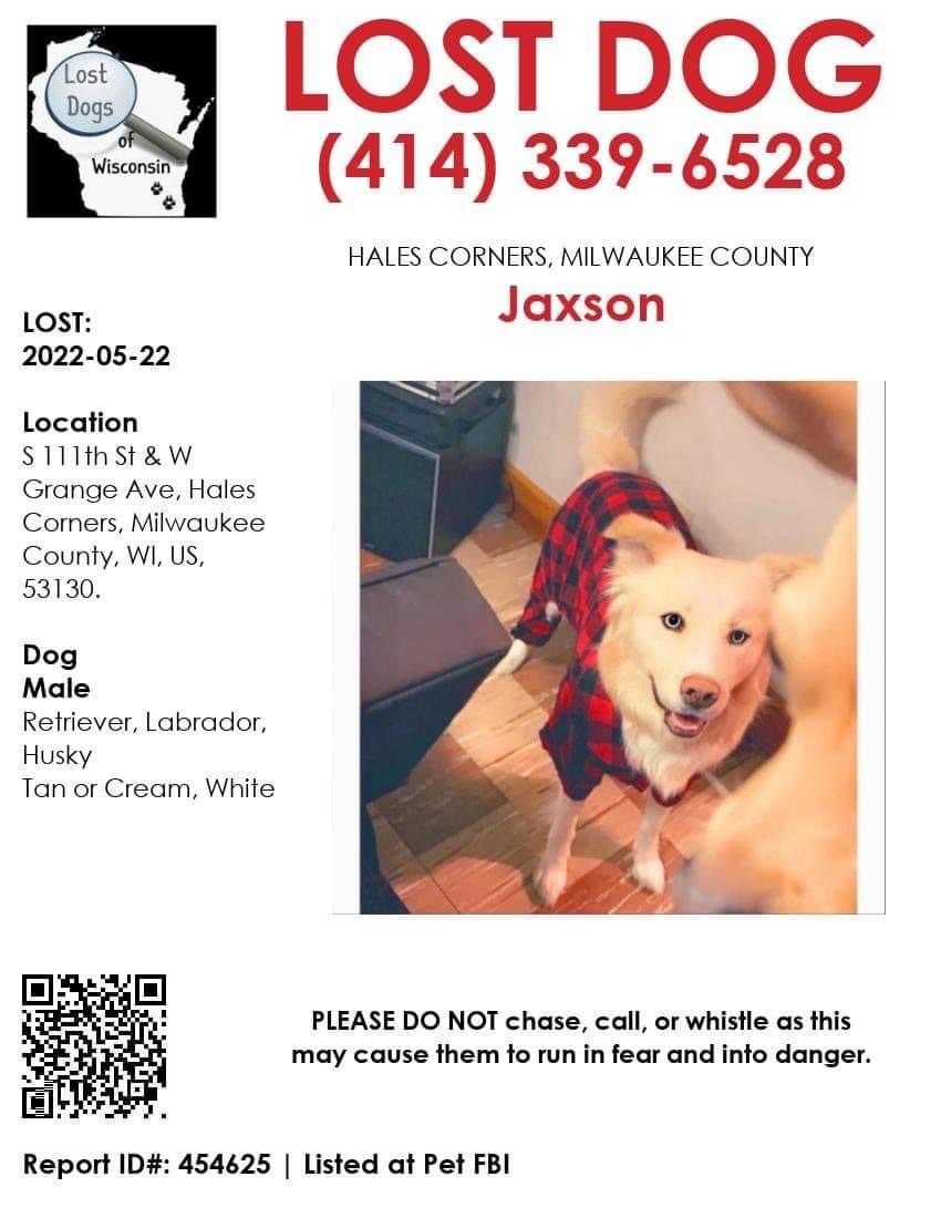 Image of Jaxson, Lost Dog