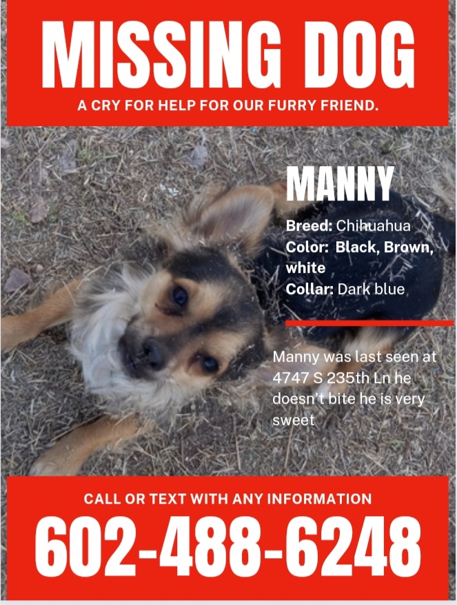 Image of Manny, Lost Dog