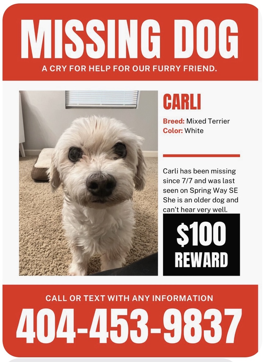 Image of Carli, Lost Dog