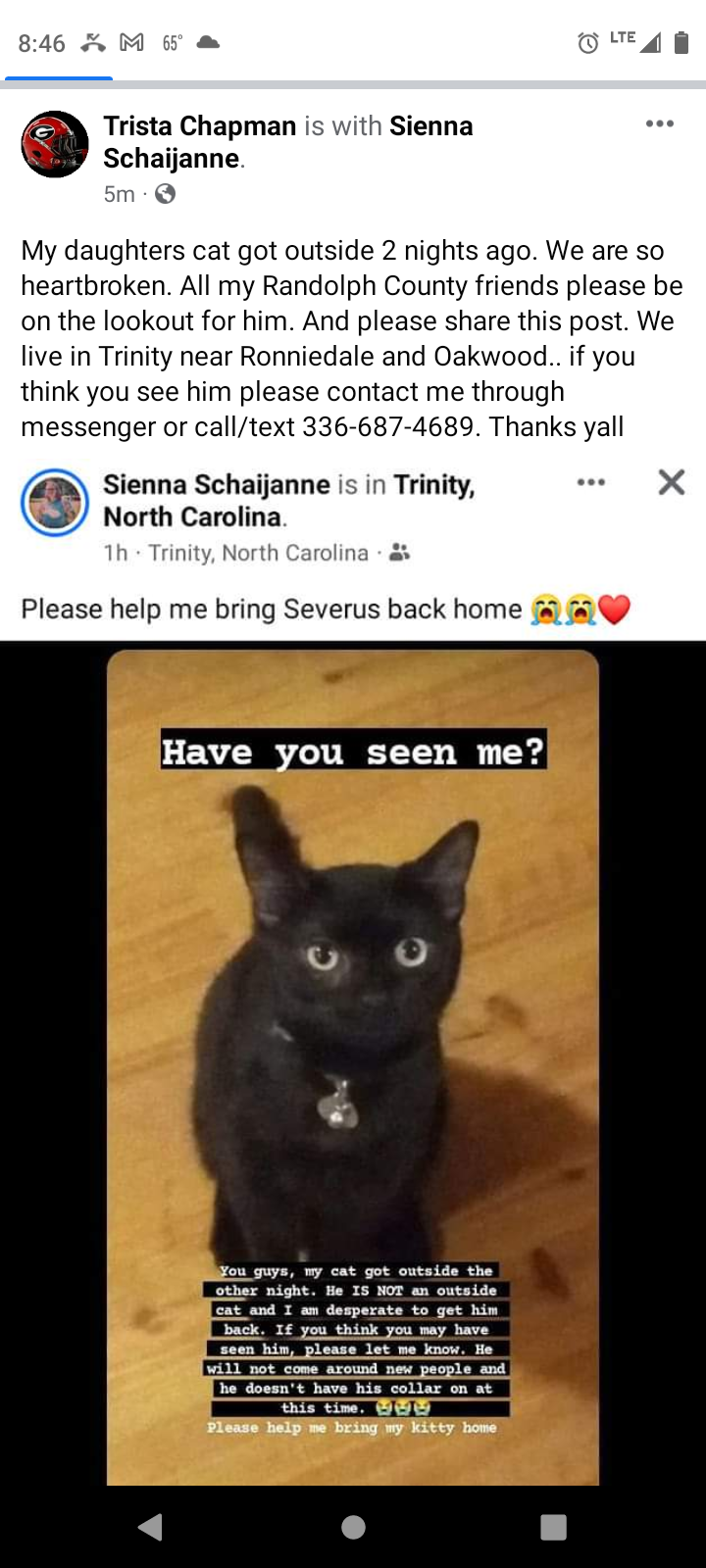 Image of Severus, Lost Cat