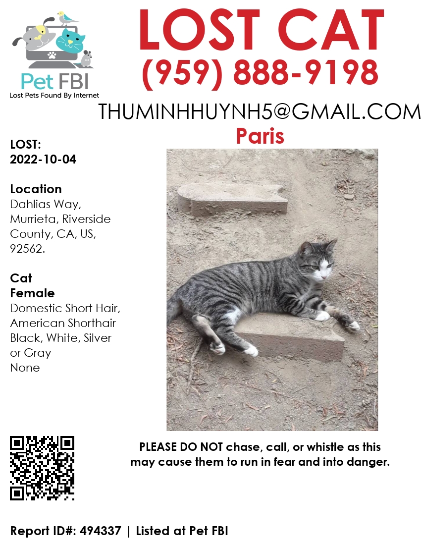 Image of Paris, Lost Cat