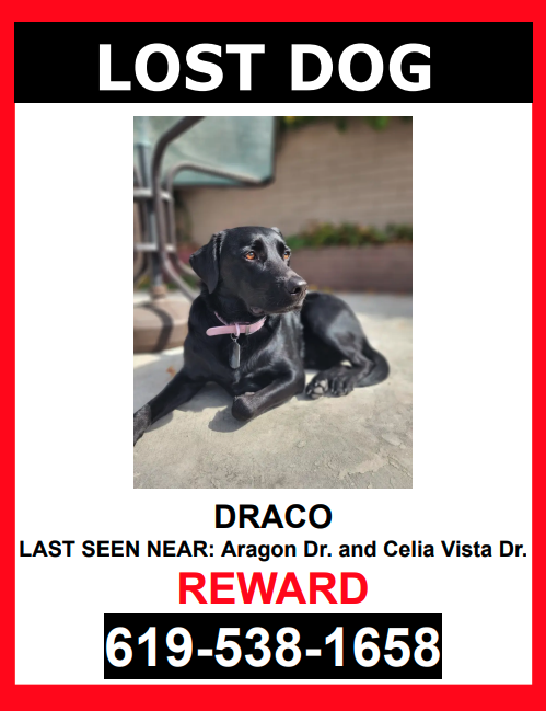 Image of Draco, Lost Dog