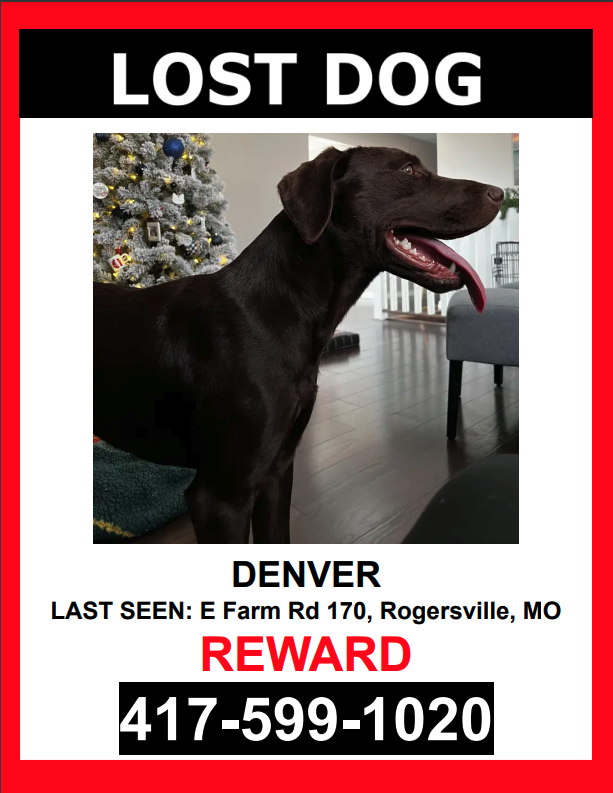 Image of Denver, Lost Dog