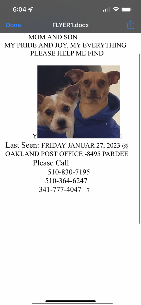 Image of Gigi &Son (two dogs), Lost Dog