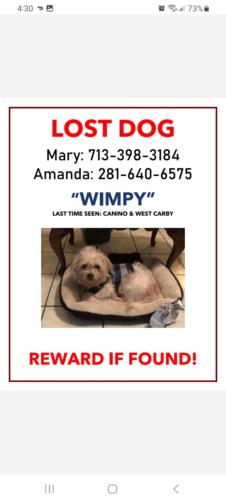 Image of Wimpy, Lost Dog