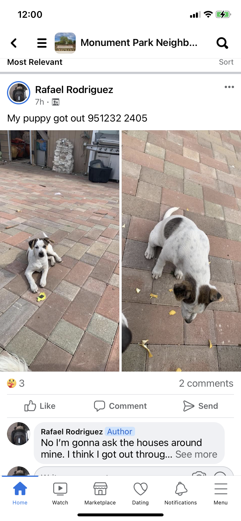 Image of Doggie, Lost Dog