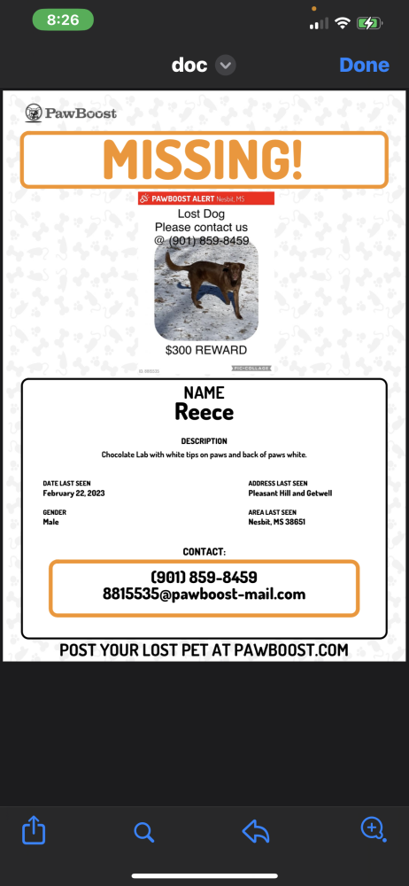 Image of Reece River, Lost Dog