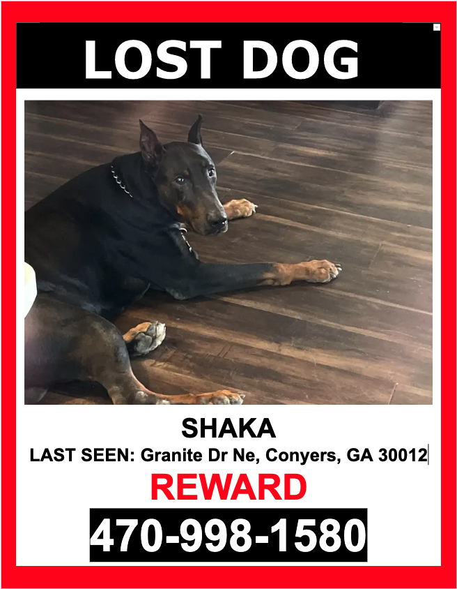 Image of Shaka, Lost Dog