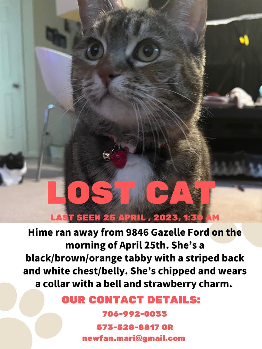 Image of Hime, Lost Cat