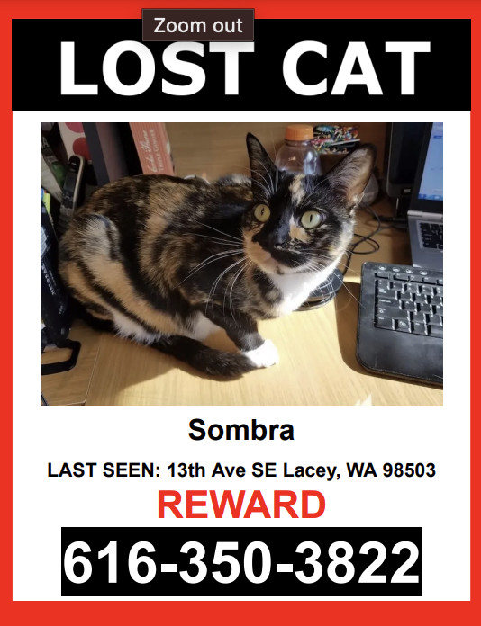 Image of Sombra, Lost Cat