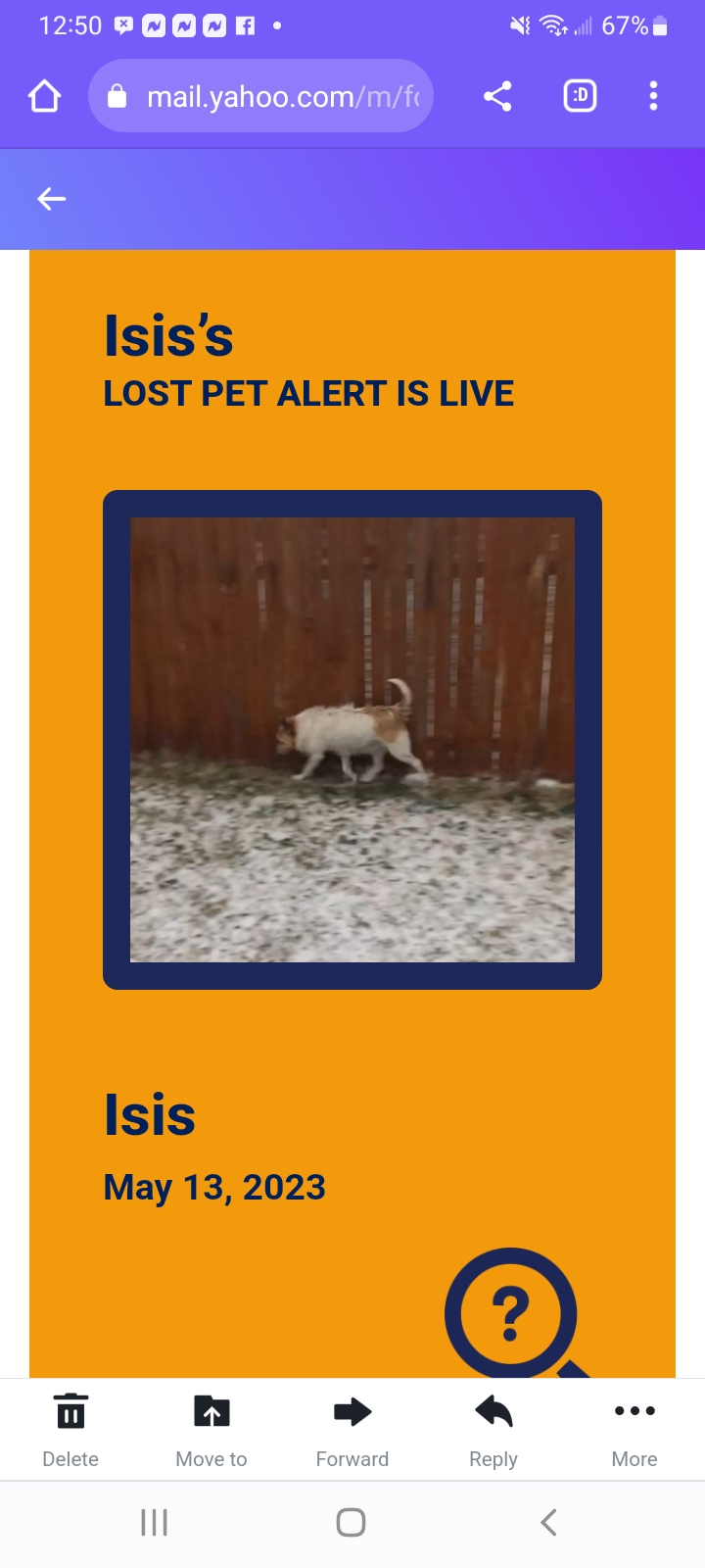 Image of Isis, Lost Dog