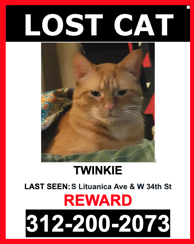 Image of Twinkie, Lost Cat