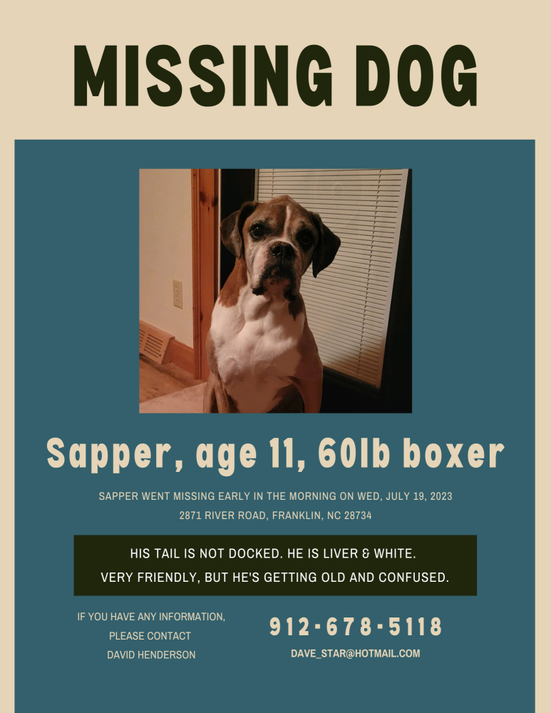 Image of Sapper, Lost Dog