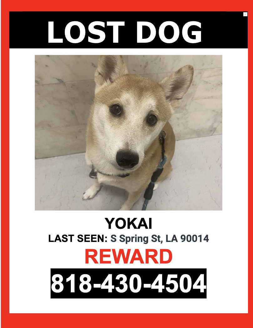 Image of Yokai, Lost Dog